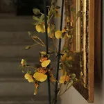 Casamia Vendégház Orosei
