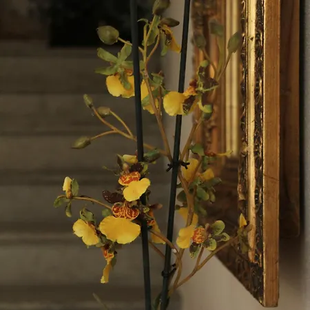 Casamia Gasthuis Orosei