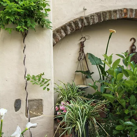 Casamia Casa de hóspedes *