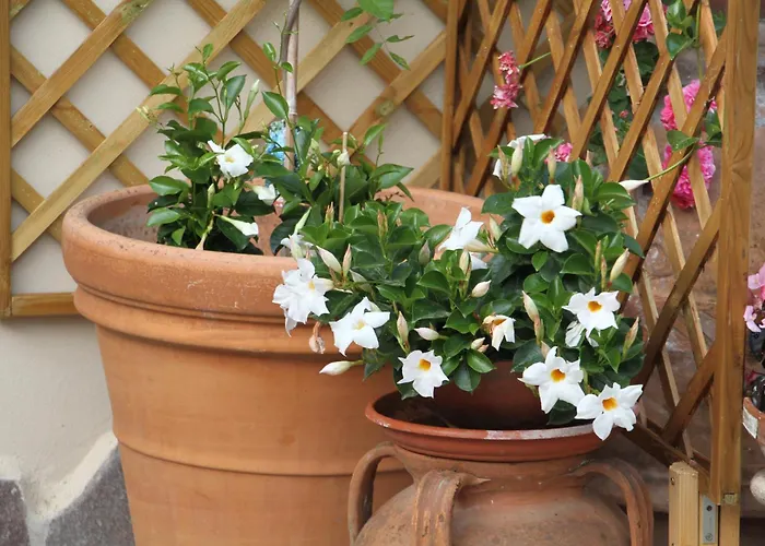 Casamia Pensión Orosei