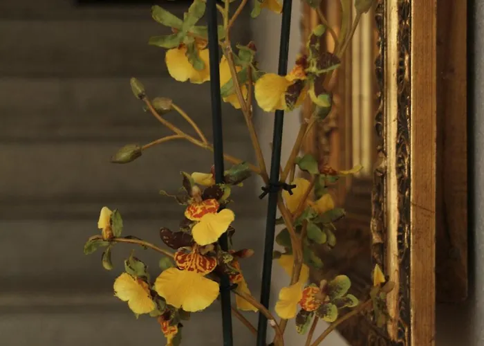 Casamia Pensión Orosei